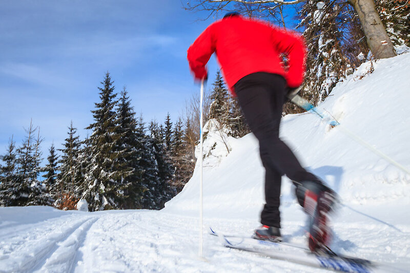 Langlauf im Bayerischen Wald